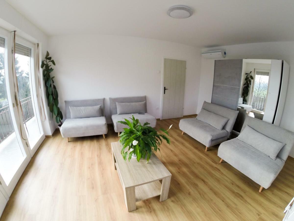 Apartments Andrej - Poetovio & Ptuj Dış mekan fotoğraf